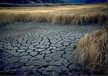 засуха - явление не только природное, но и социальное