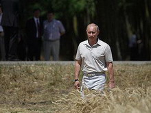 путин запретил экспорт зерна