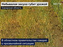 в самарской области из-за засухи введен режим чрезвычайной ситуации